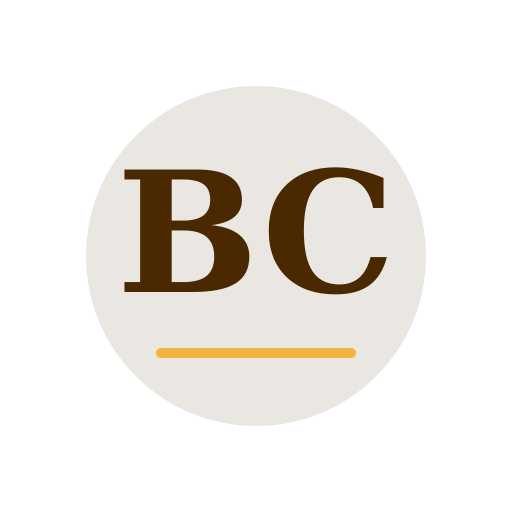 Boni Chimney Repair logo